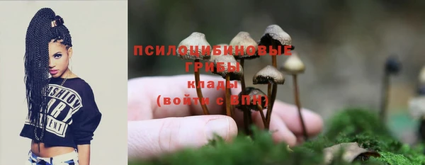 гашик Кинешма