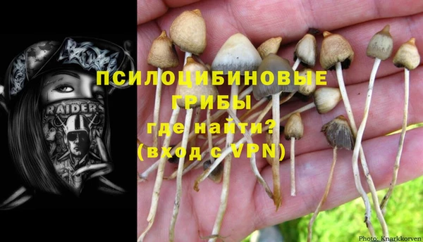 гашик Кинешма