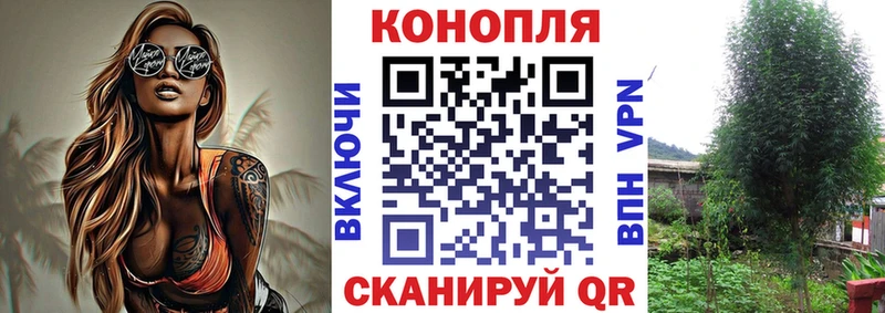 Каннабис семена  Купить  Струнино 